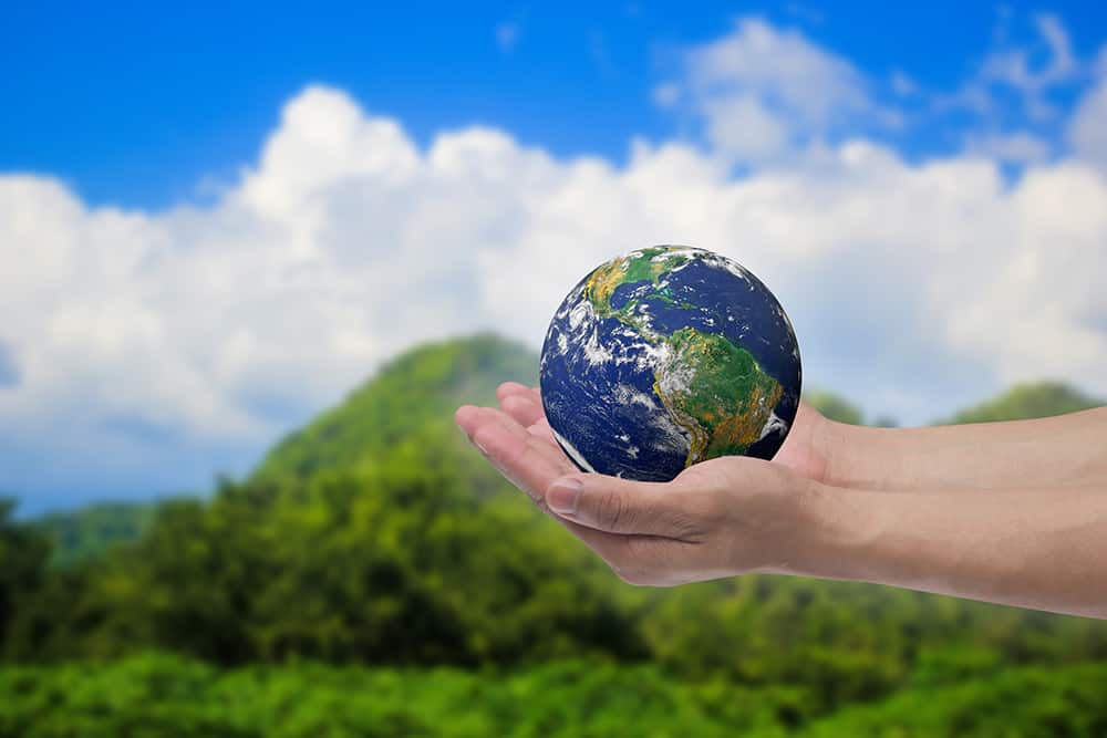 Environmental Health & Safety (EHS)